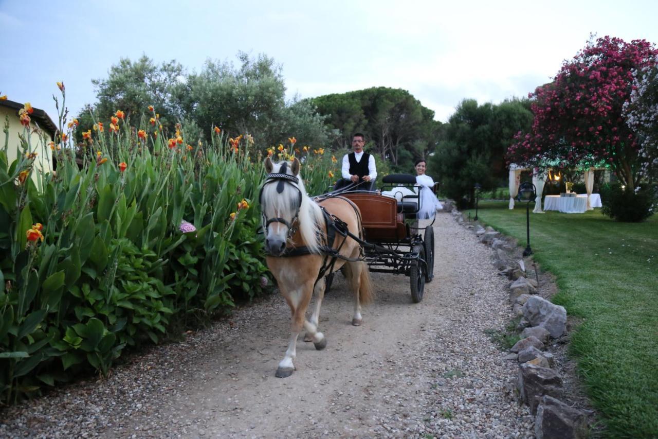 Horse Country Resort Congress & Spa - Hotel Ribot Arborea Exterior photo